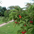 ... in Griffweite